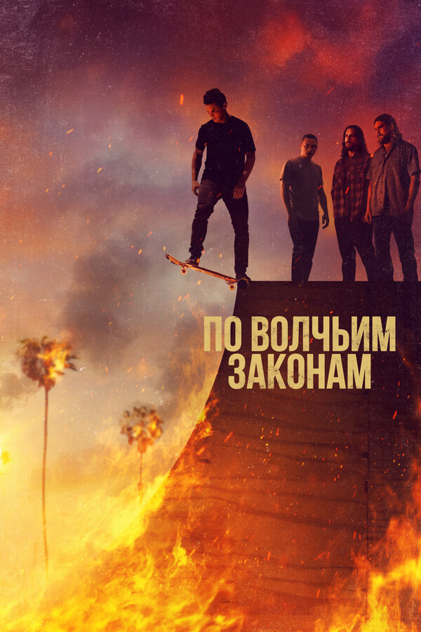 По волчьим законам (2016) - смотреть онлайн